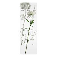 WANDGARDEROBE - Botanisches Aquarell - Löwenzahn 34/105 cm - Weiß, Holzwerkstoff (34/105/1.6cm) - Bilderwelten