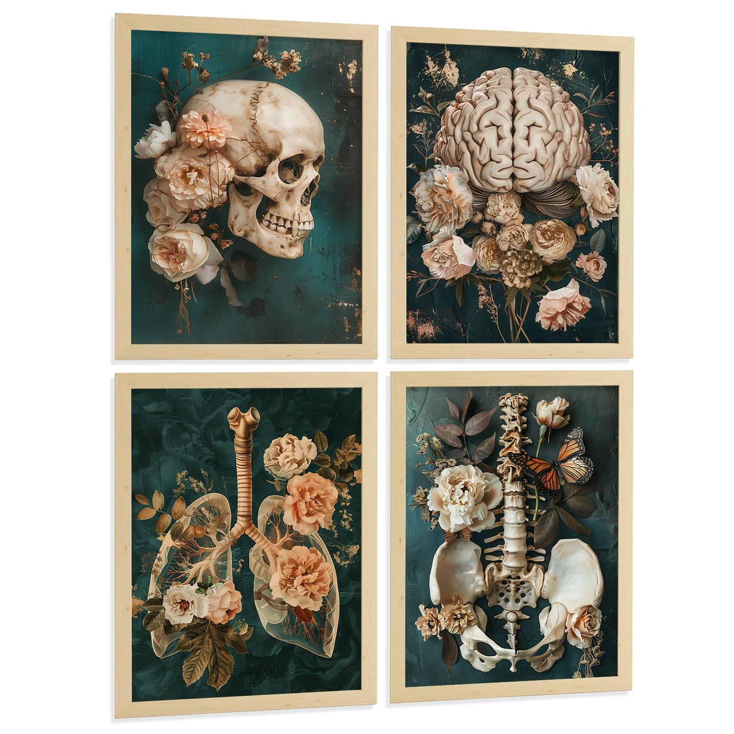POSTER Set aus 4 Anatomie Mensch Drucke und mit Schädel Gehirn Lungen Luftröhre Bronchien Becken Wirbelsäule Florales Größe Leichter Holzrahmen A4 - Beige, Papier (21/29.7/3cm) - Nacnic