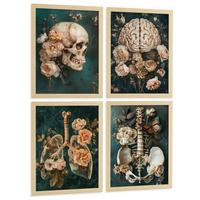 POSTER Set aus 4 Anatomie Mensch Drucke und mit Schädel Gehirn Lungen Luftröhre Bronchien Becken Wirbelsäule Florales Größe Leichter Holzrahmen A4 - Beige, Papier (21/29.7/3cm) - Nacnic