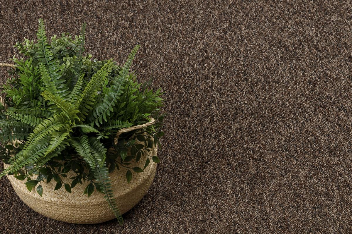 TEPPICH rund SUPERSTAR 150 cm - Braun, Textil (150/150cm) - rugsX