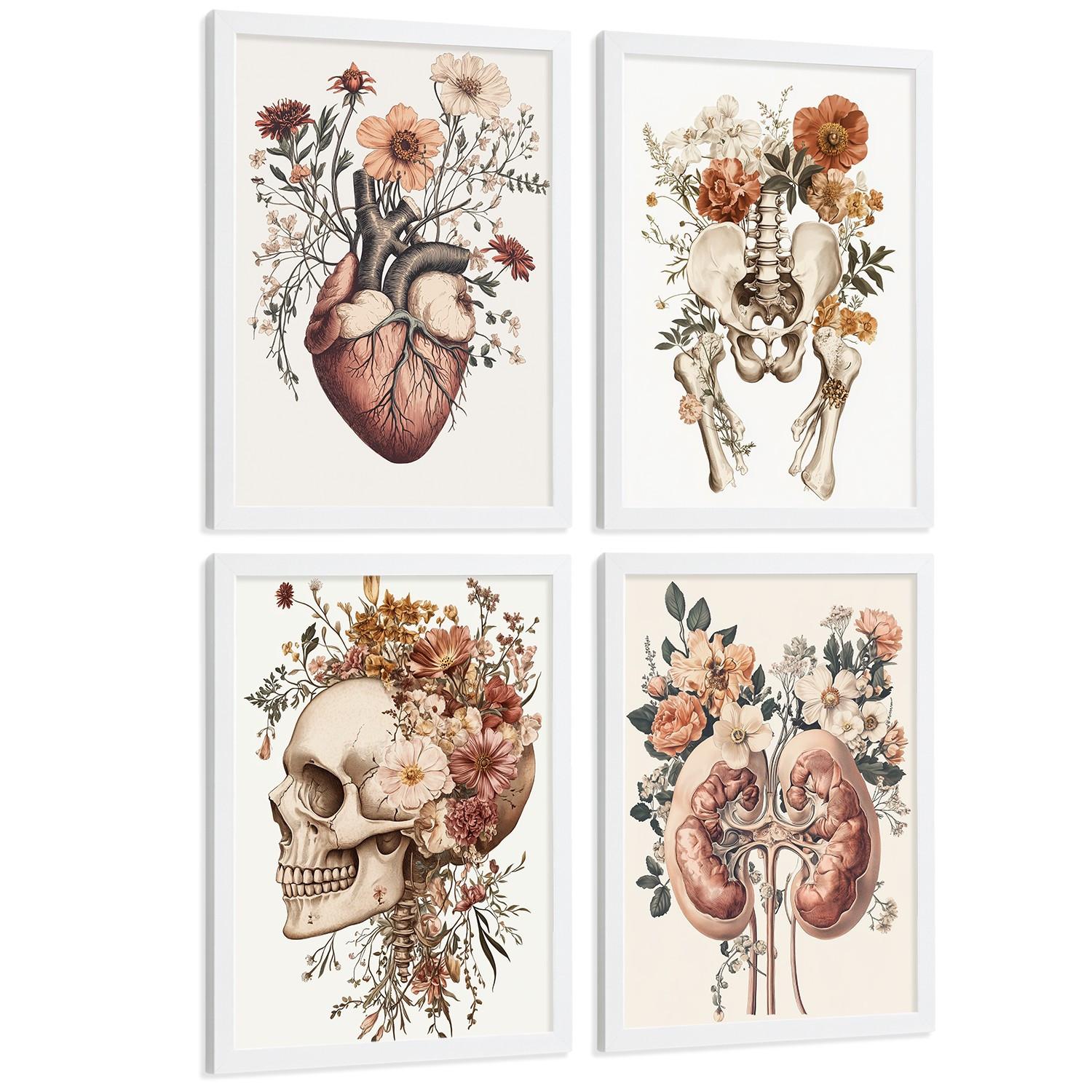 POSTER Set aus 4 Anatomie Drucke und Wandbilder mit Herz Nieren Schädel und Becken Botanischer Stil Medizinische Wanddekoration Größe Weißer Rahmen A3 - Weiß, Papier (29.7/42/3cm) - Nacnic