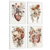 POSTER Set aus 4 Anatomie Drucke und Wandbilder mit Herz Nieren Schädel und Becken Botanischer Stil Medizinische Wanddekoration Größe Weißer Rahmen A3 - Weiß, Papier (29.7/42/3cm) - Nacnic