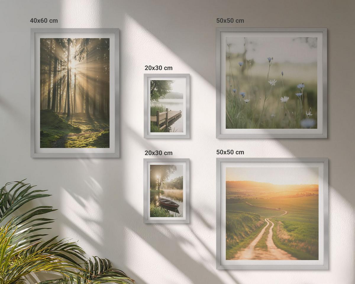 BILDER SET 5er Set - 50x50 cm & 20x30 cm & 40x60 cm Silberner Rahmen - Gemalte Zitruslandschaften - Silberfarben, Kunststoff (40/60cm) - TULUP