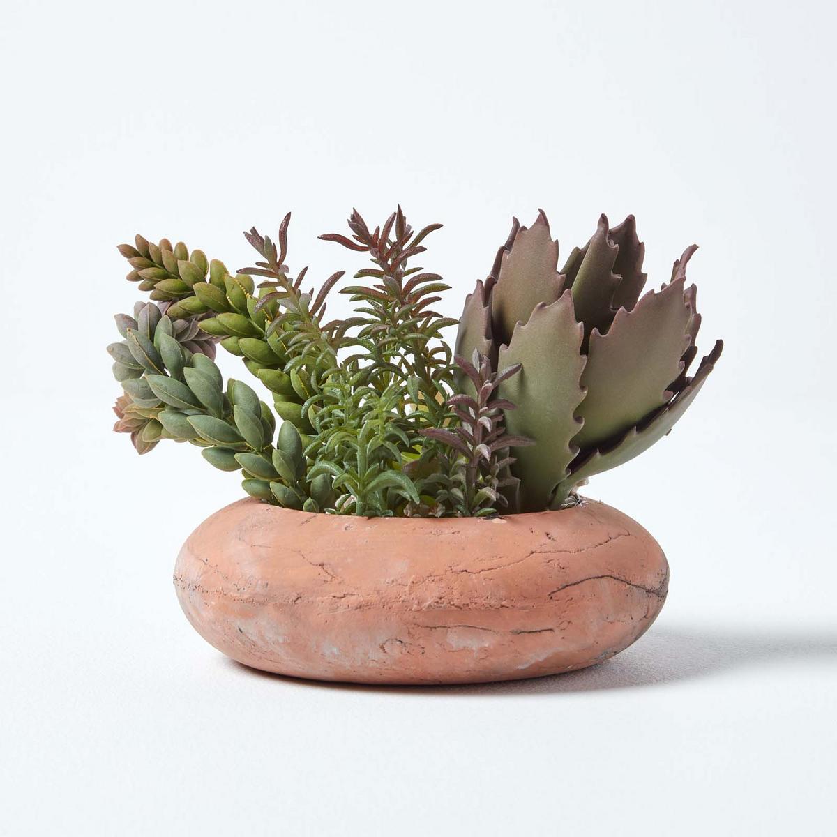KUNSTPFLANZEN Sukkulenten-Arrangement in Deko-Schale, 15 cm - Grün, Kunststoff (14cm) - Homescapes