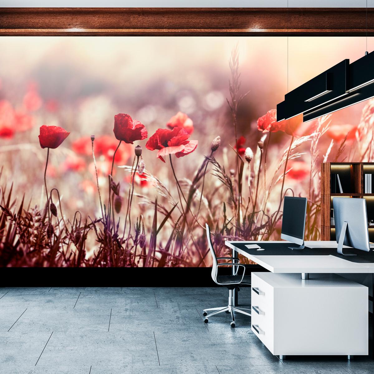 FOTOTAPETE für Esszimmer Feldblumen Rote Mohnwiese Sonne 450x315 - Rot/Orange, Papier (450/315cm) - Muralo