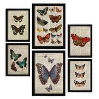 POSTER Set Mit 6 Schmetterlinge Vintage Papier Stil A3 & A4 Rahmenlos - Klar, Papier (29/3cm) - Nacnic