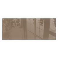 GLASPLATTE für Kamin 125x50 cm - Braun, Glas (125/50/0.4cm) - TULUP