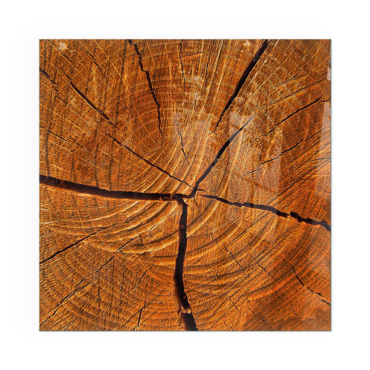 GLASPLATTE für Kamin 50x50 cm - Orange, Glas (50/50/0.4cm) - TULUP
