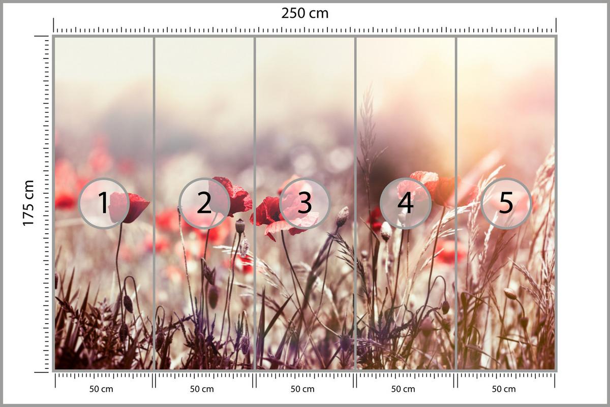 FOTOTAPETE für Esszimmer Feldblumen Rote Mohnwiese Sonne 250x175 - Rot/Orange, Papier (250/175cm) - Muralo