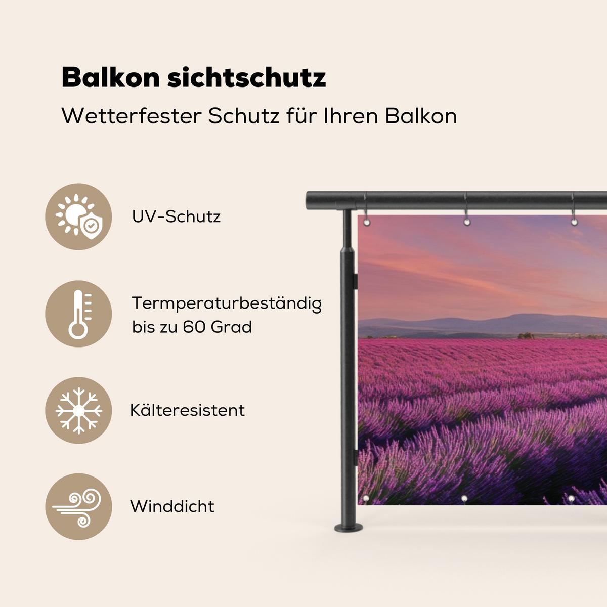 BALKON-SICHTSCHUTZ Lavendelfeld - Sonnenuntergang - Lila - Blumen Witterungsbeständig 300x80 cm - Violett, Kunststoff (300/80cm) - MuchoWow