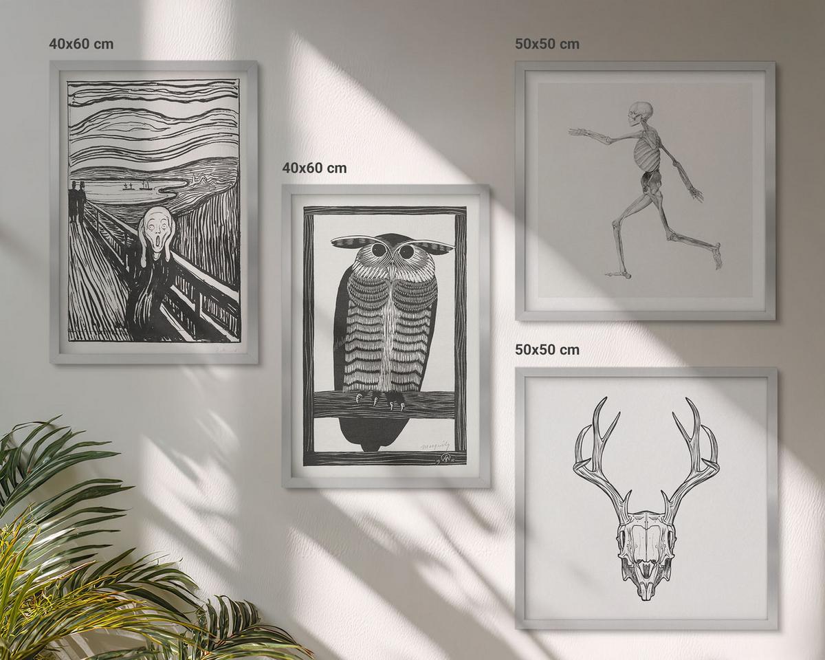 BILDER SET 4er Set - 50x50 cm & 40x60 cm Silberner Rahmen - Inspiration Schrei Schädel Eule - Silberfarben, Kunststoff (50/50cm) - TULUP