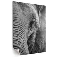POSTER - 21x29 cm - Visual Echo - Elefantenblick - Schwarz, Textil (21/29.7/0.1cm) - TULUP