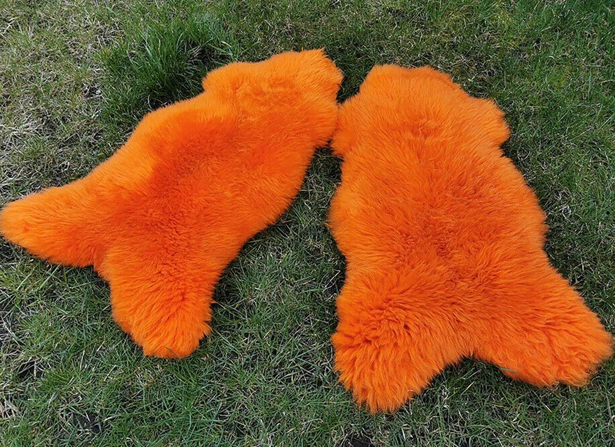 LAMMFELL Öko bunt gefärbt weich Fell Teppich Orange ca. 110 cm - Orange, Fell (60/110cm) - Provellus