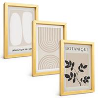 BILDER SET 3er Set - 20x30 cm Goldrahmen - Boho-Pflanzenposter - Goldfarben, Kunststoff (20/30cm) - TULUP