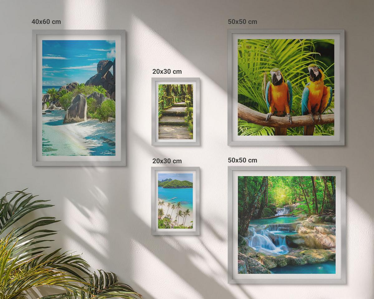 BILDER SET 5er Set - 50x50 cm & 20x30 cm & 40x60 cm Silberner Rahmen - Strand, Boot, Wasserfälle, Palmen - Silberfarben, Kunststoff (40/60cm) - TULUP