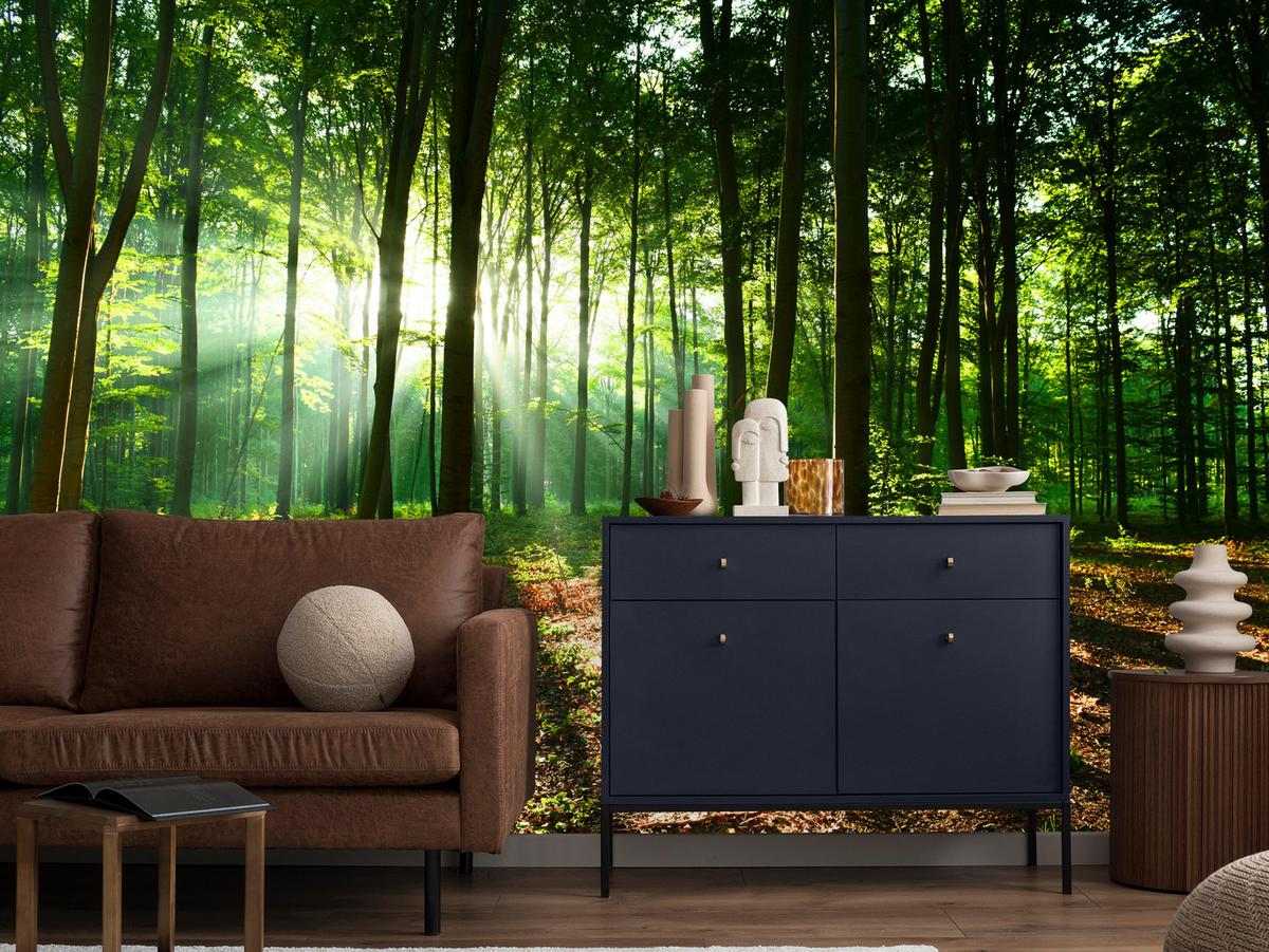 FOTOTAPETE für Wohnzimmer Sonnenstrahlen Wald Bäume Blätter 500x350 - Beige/Braun, Papier (500/350cm) - Muralo