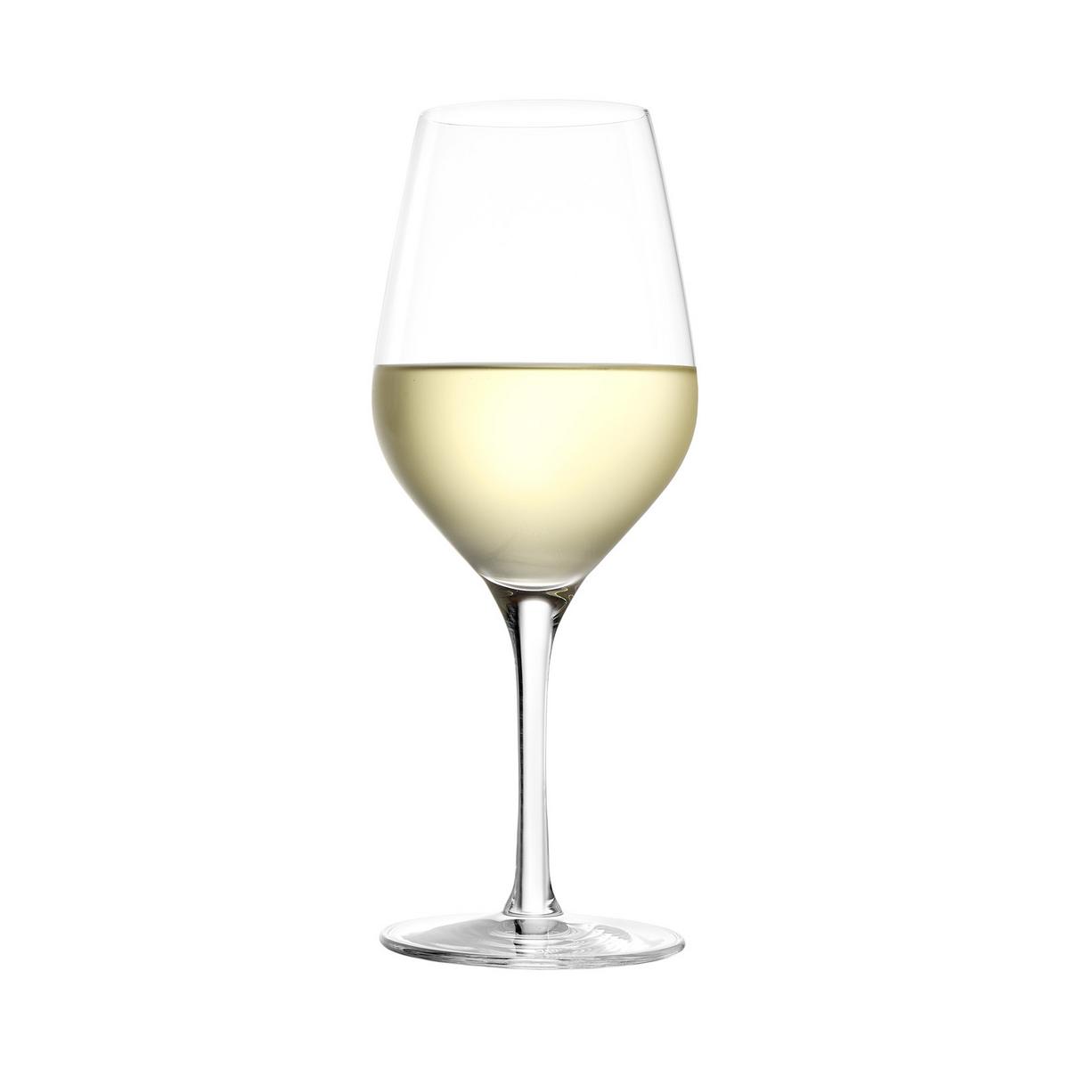 UNIVERSALGLÄSER Exquisit transparent 420 ml 6er Set - Transparent, Glas (0.42L) - Stölzle Lausitz
