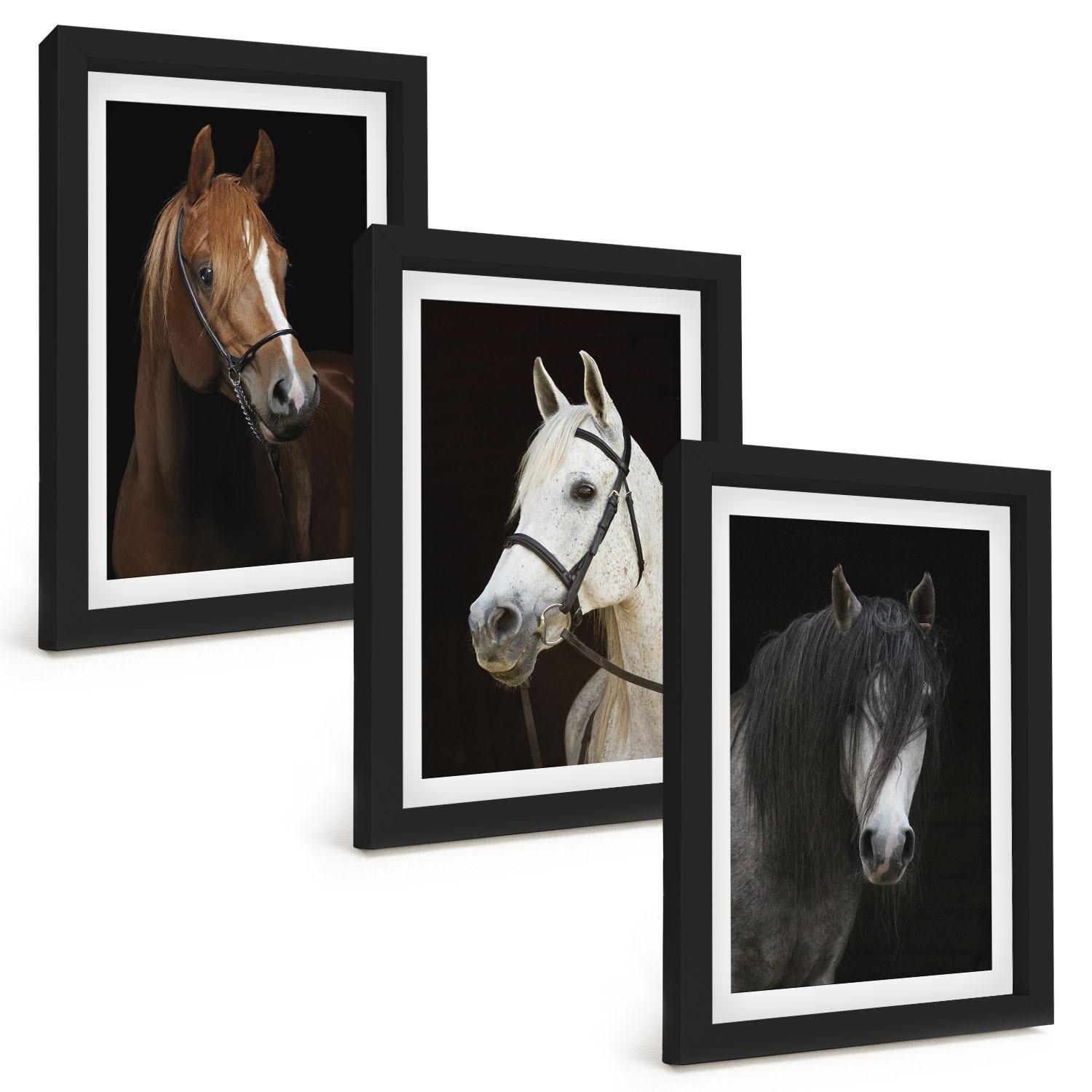 BILDER SET 3er Set - 20x30 cm Schwarzer Rahmen - Porträts von Pferden in verschiedenen Fellfarben - Schwarz, Kunststoff (20/30cm) - TULUP
