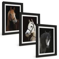 BILDER SET 3er Set - 20x30 cm Schwarzer Rahmen - Porträts von Pferden in verschiedenen Fellfarben - Schwarz, Kunststoff (20/30cm) - TULUP