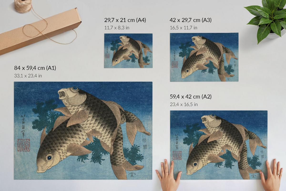 POSTER - 29x21 cm (A4) - Hokusai - Karpfen im Seetang - Blau, Textil (29.7/21/0.1cm) - TULUP