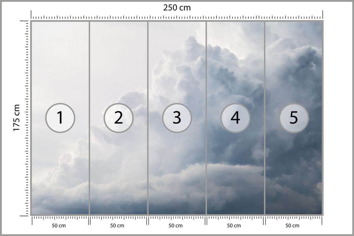 FOTOTAPETE für Schlafzimmer Regenschwül Himmel Wolken Sturm 250x175 - Weiß, Papier (250/175cm) - Muralo