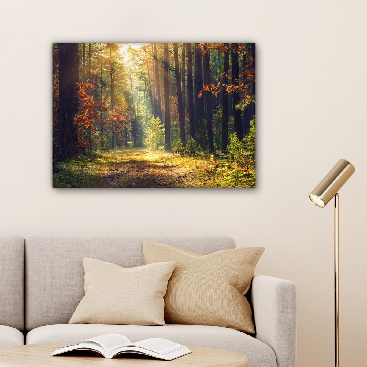 LEINWANDBILD Wald - Herbst - Bäume Wandbilder 80x60 cm - Dunkelgrün, Textil (80/60cm) - MuchoWow