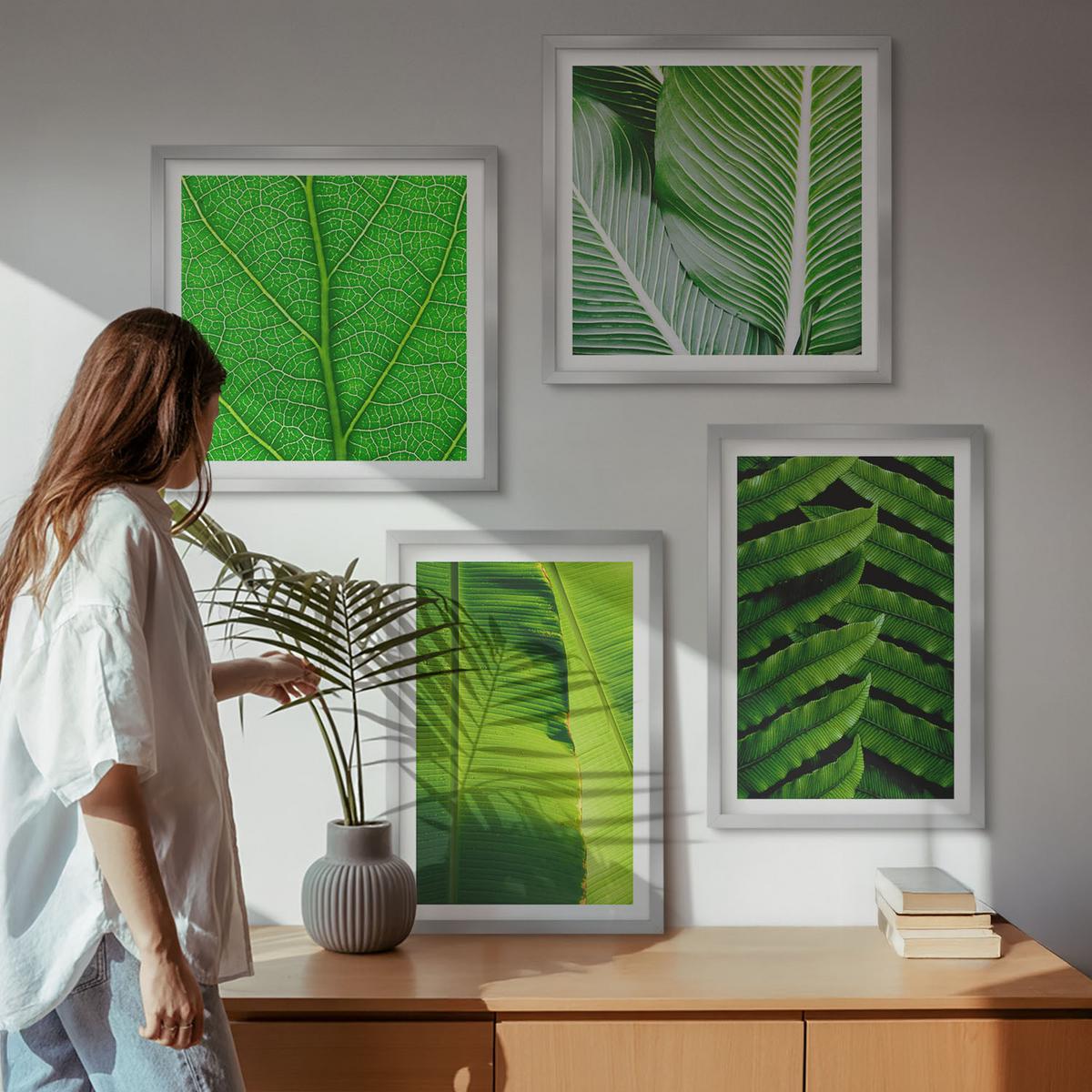 BILDER SET 4er Set - 50x50 cm & 40x60 cm Silberner Rahmen - Nahaufnahme von tropischen Blättern - Silberfarben, Kunststoff (50/50cm) - TULUP