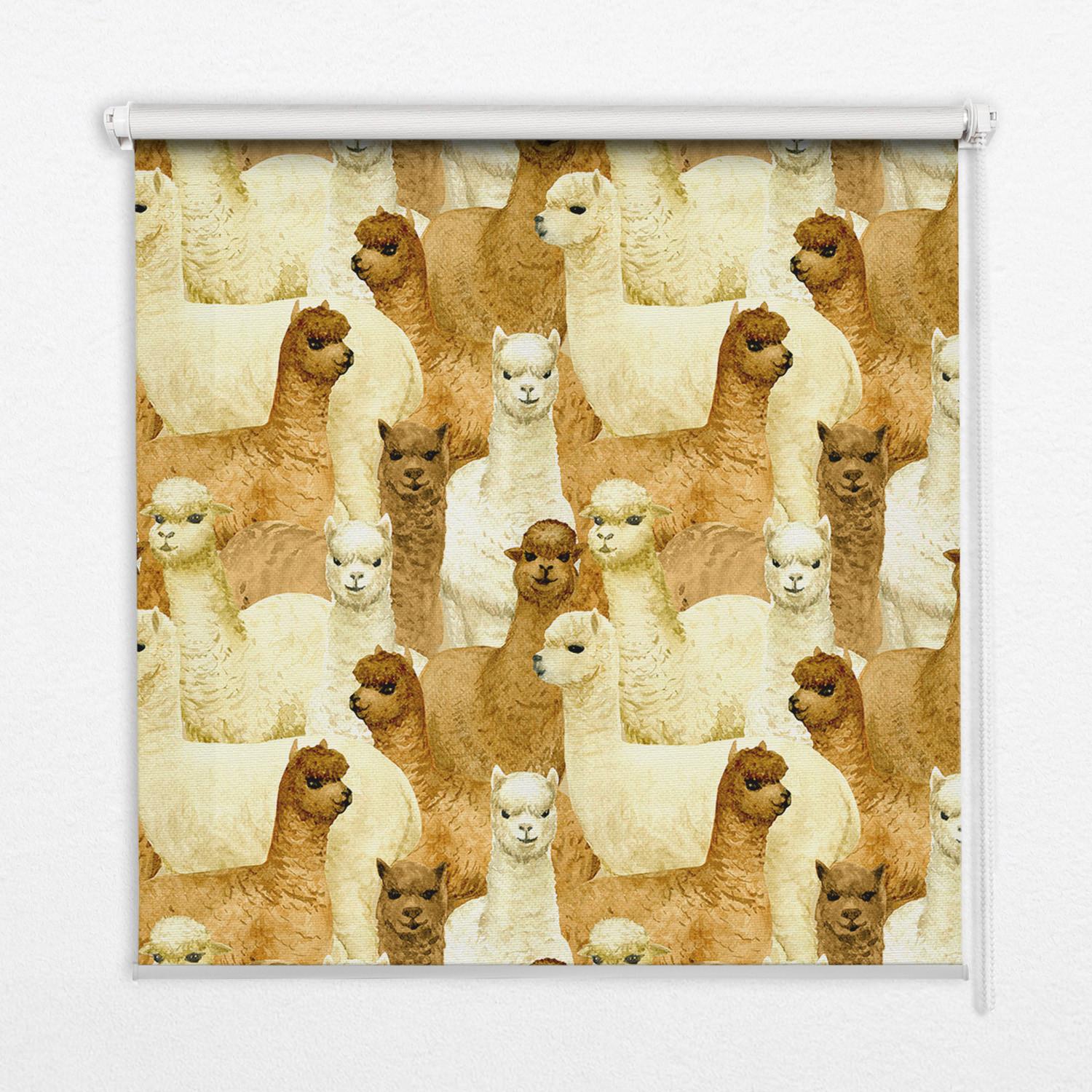 INNENROLLO - Fensterrollo - Rollo - 110x140 cm - Alpakaherde - Braun, Kunststoff (110/140/0.5cm) - TULUP