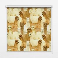 INNENROLLO - Fensterrollo - Rollo - 90x180 cm - Alpakaherde - Braun, Kunststoff (90/180/0.5cm) - TULUP