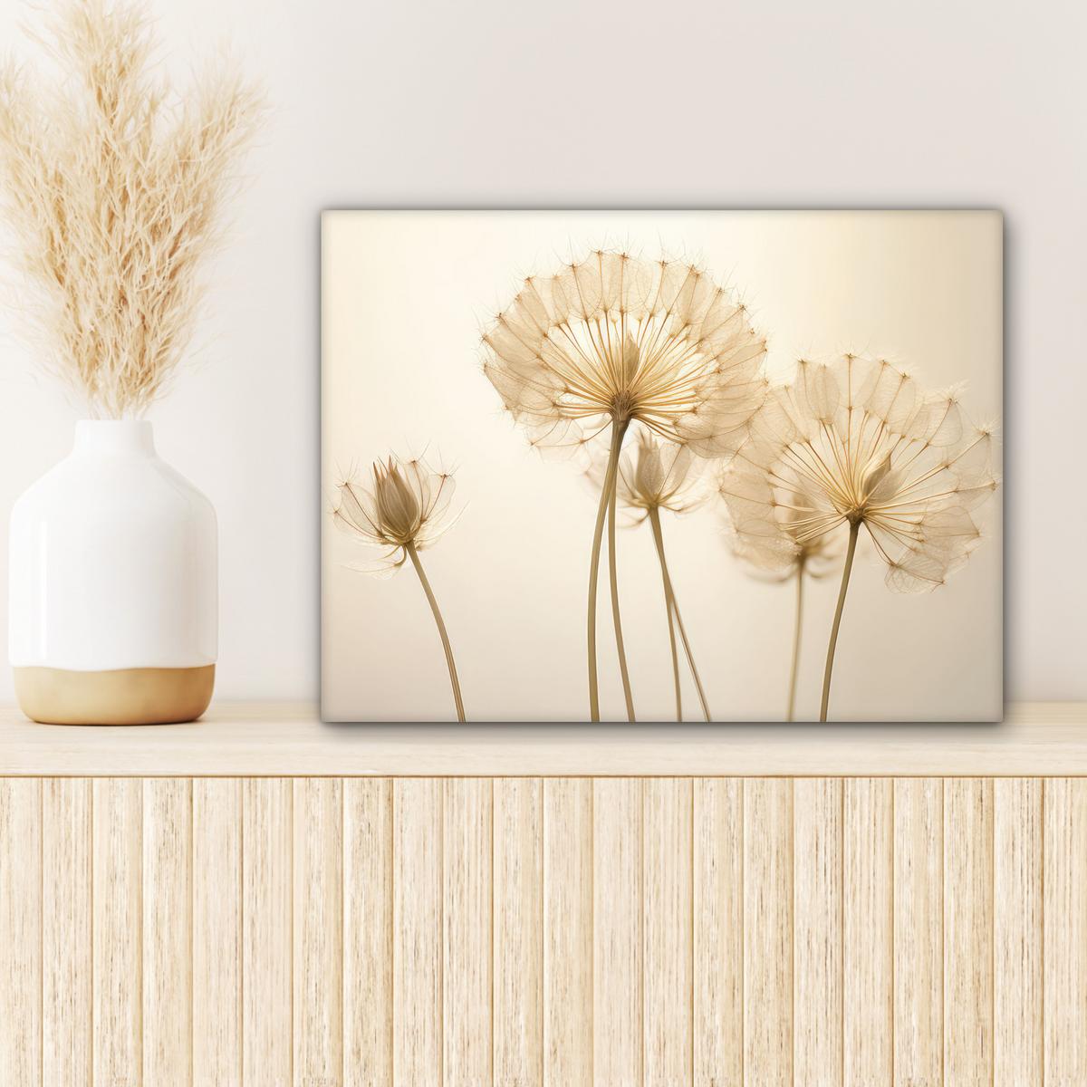LEINWANDBILD Sonnenlicht - Löwenzahn - Botanisch - Blumen Wandbild 40x30 cm - Creme, Textil (40/30cm) - MuchoWow