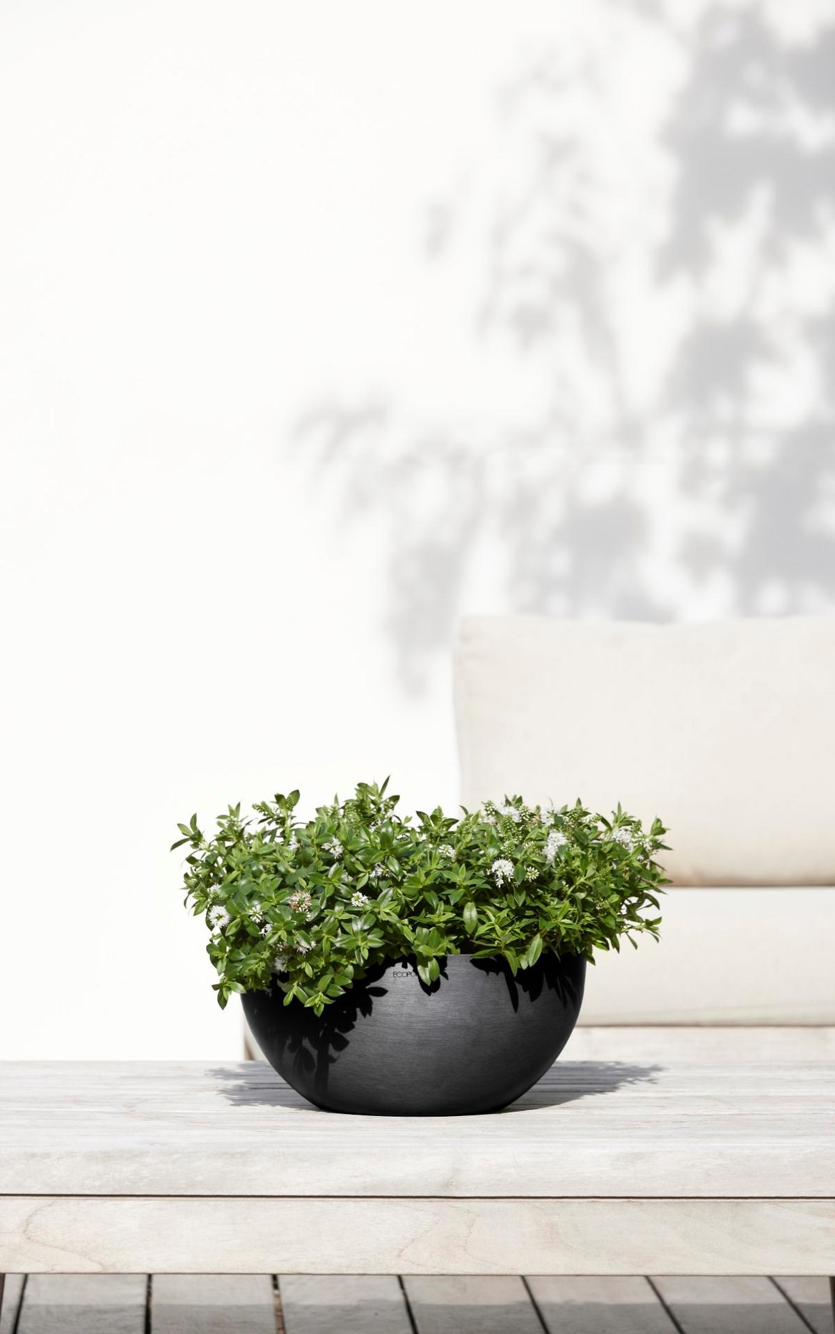 BLUMENTOPF Brussels 30/14,8 cm Dunkelgrau - Dunkelgrau, Kunststoff (30/14.8cm) - Ecopots