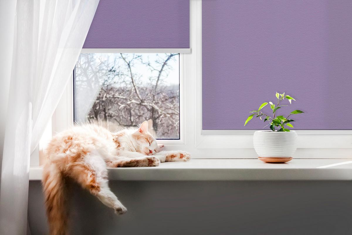 INNENROLLO - Fensterrollo - Rollo - 80x140 cm - Lila - Violett, Kunststoff (80/140/0.5cm) - TULUP