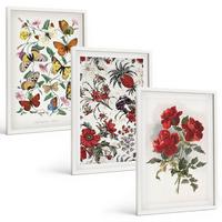 BILDER SET 3er Set - 40x60 cm Weißer Rahmen - Schmetterlinge, Blumen, rote Rosen - Weiß, Kunststoff (40/60cm) - TULUP