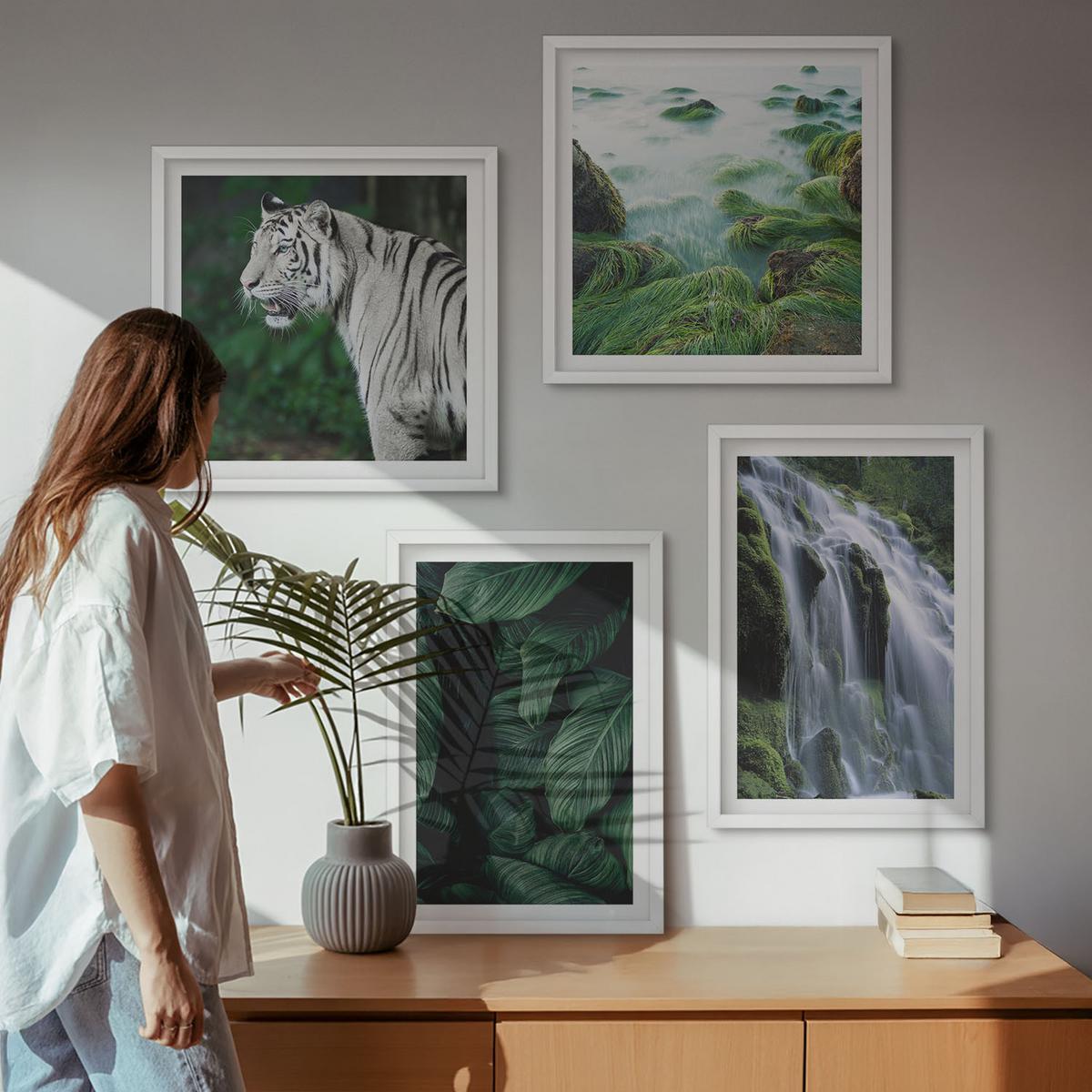 BILDER SET 4er Set - 50x50 cm & 40x60 cm Weißer Rahmen - Blätter des Weißen Tigerwasserfalls - Weiß, Kunststoff (50/50cm) - TULUP