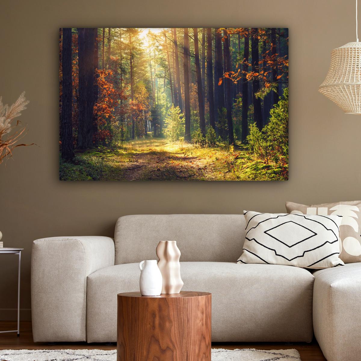 LEINWANDBILD Wald - Herbst - Bäume Groß 140x90 cm - Dunkelgrün, Textil (140/90cm) - MuchoWow