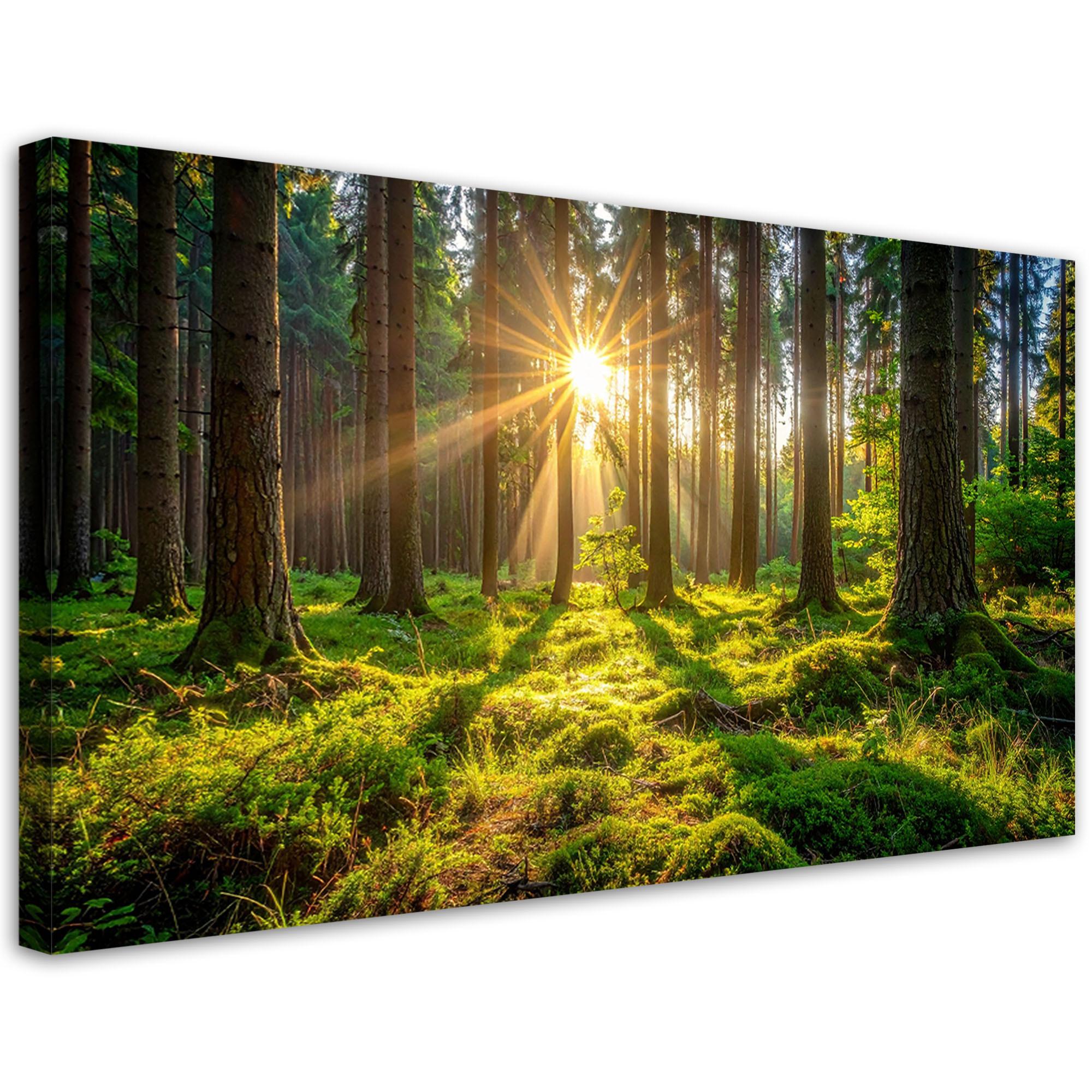 LEINWANDBILD Landschaften 100x50cm - Grün, Textil (100/50cm) - Feeby