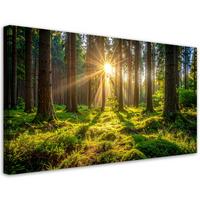 LEINWANDBILD Landschaften 100x50cm - Grün, Textil (100/50cm) - Feeby
