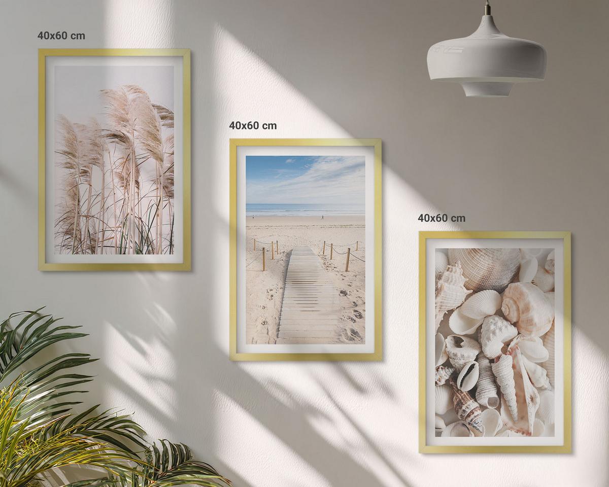 BILDER SET 3er Set - 40x60 cm Goldrahmen - Strandmuscheln Seegras - Goldfarben, Kunststoff (40/60cm) - TULUP