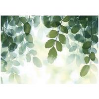 FOTOTAPETE Blätter Natur Grün Vlies Tapete Wohnzimmer 150x105 - Grün, Papier (150/105cm) - Wallarena