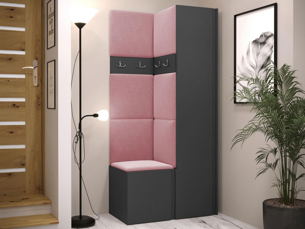 GARDEROBEN-SET Orion XXIV - Graphitfarben/Rosa, Holzwerkstoff/Kunststoff (82/186/46cm) - MIRJAN24