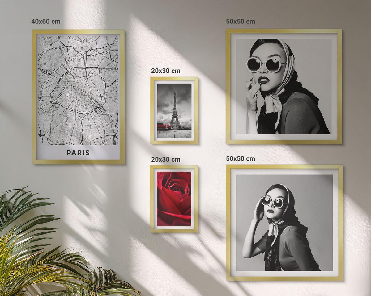 BILDER SET 5er Set - 50x50 cm & 20x30 cm & 40x60 cm Goldrahmen - Pariserin mit Eiffelturmbrille - Goldfarben, Kunststoff (40/60cm) - TULUP