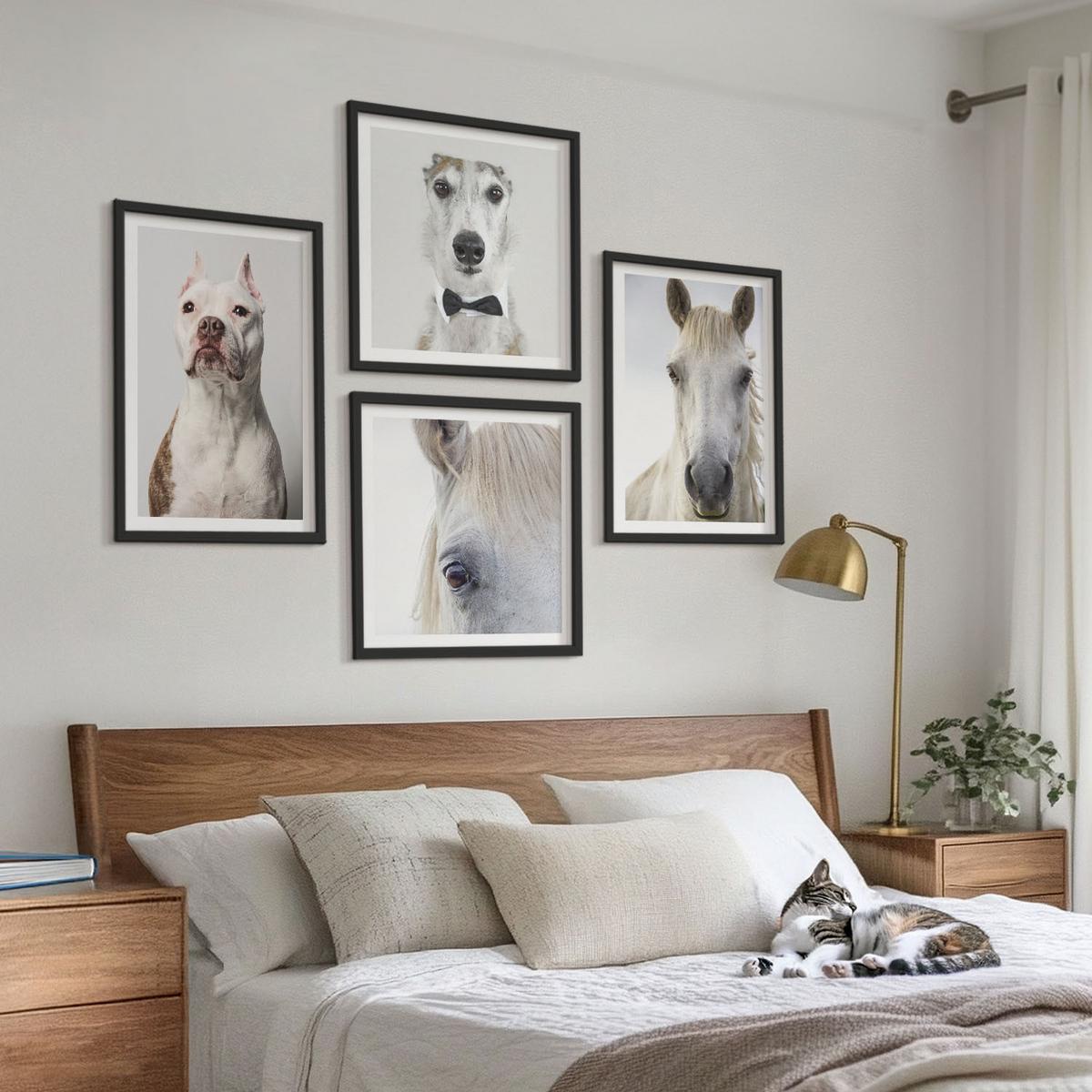BILDER SET 4er Set - 50x50 cm & 40x60 cm Schwarzer Rahmen - Elegante Porträts von Hunden und Pferden - Schwarz, Kunststoff (50/50cm) - TULUP