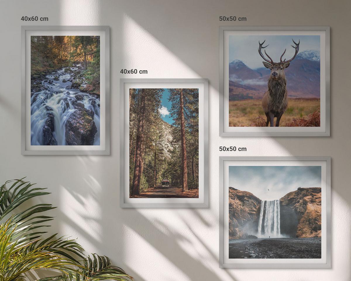 BILDER SET 4er Set - 50x50 cm & 40x60 cm Silberner Rahmen - Wasserfall Wald Berge Hirsch Natur - Silberfarben, Kunststoff (50/50cm) - TULUP