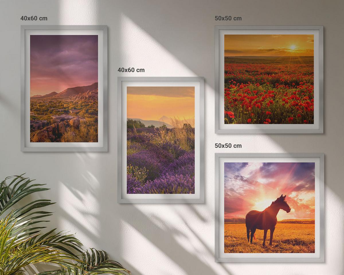 BILDER SET 4er Set - 50x50 cm & 40x60 cm Silberner Rahmen - Berglandschaft Rosslavendel - Silberfarben, Kunststoff (50/50cm) - TULUP