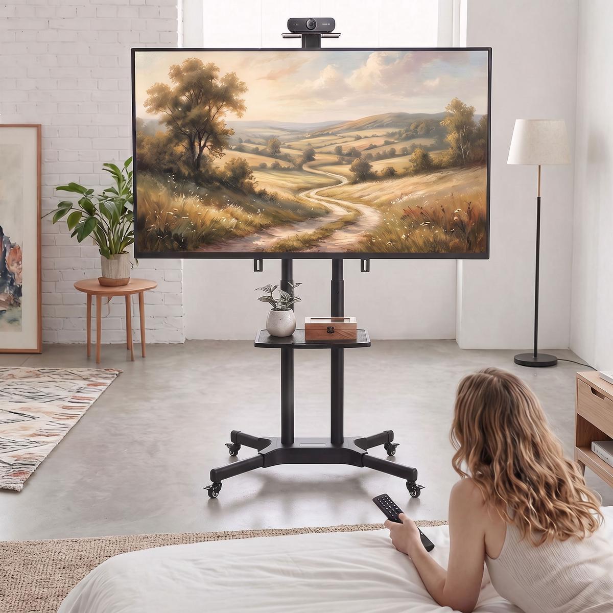 MOBILER-TV-STÄNDER Metall Schwarz - Schwarz, Metall (64.8/189/85.3cm) - HOMCOM