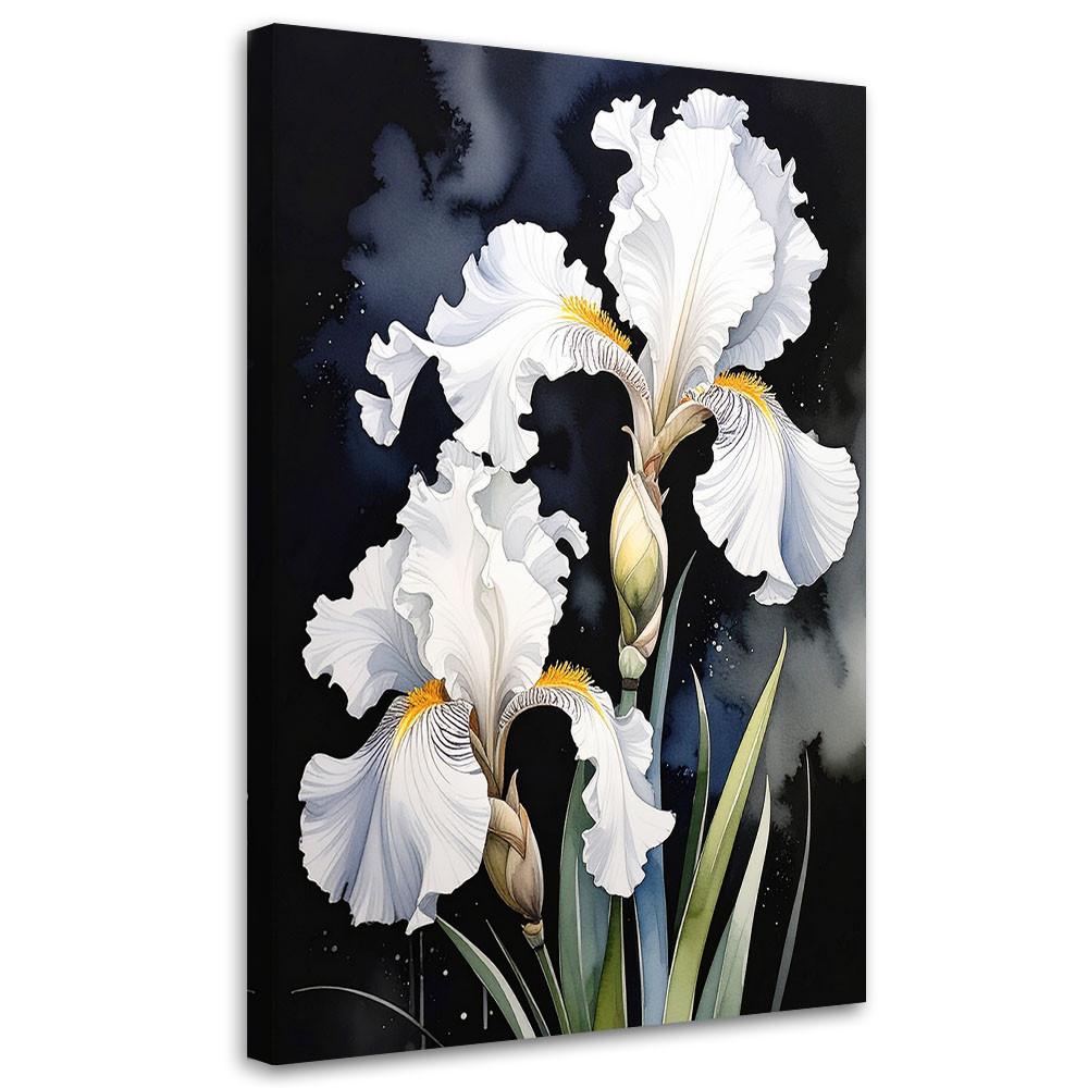LEINWANDBILDER, Weiße Schwertlilien Blumen Pflanzen Natur - Weiß, Textil (40/60cm) - Feeby
