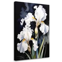 LEINWANDBILDER, Weiße Schwertlilien Blumen Pflanzen Natur - Weiß, Textil (40/60cm) - Feeby