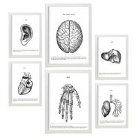 POSTER Set Mit 6 Belies Sammlung A3 & A4 Weißer Rahmen - Weiß, Papier (29/3cm) - Nacnic