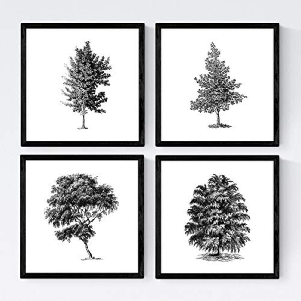 POSTER Set mit 4 Blättern der Bäume struktur 30x30 cm Rahmenlos - Klar, Papier (30/3cm) - Nacnic