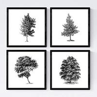POSTER Set mit 4 Blättern der Bäume struktur 30x30 cm Rahmenlos - Klar, Papier (30/3cm) - Nacnic